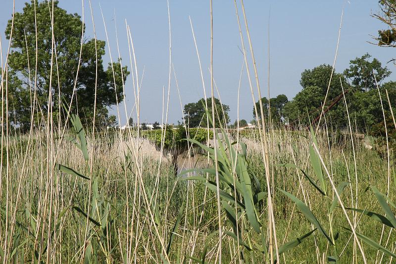 FdE2009 Parcours Fosses Gardette Echillais_018.JPG